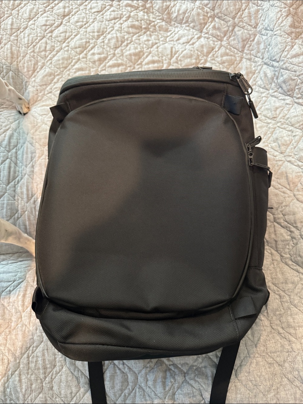 Aer travel backpack